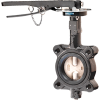Butterfly Valves