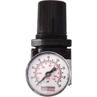 Regulators, 1/4" NPT, 150 PSI Max. PSI, Modular Air Extreme Inc.