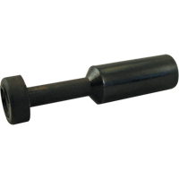 P.t.c. Plug Air Extreme Inc.