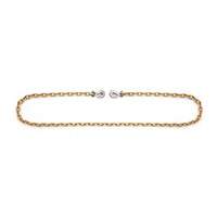 Binder Chain with Clevis Grab Hooks Air Extreme Inc.