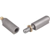 Charni&egrave;re &agrave; souder, 0,512" dia. x 3,15" lo, Acier doux a/goupille fixe en acier Air Extreme Inc.