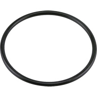 G438 Buna-N O-Ring Air Extreme Inc.