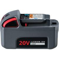 Pile haute capacit&eacute; IQV20, Lithium-ion, 20 V, 5 Ah Air Extreme Inc.
