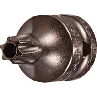 Socket Bit, Torx&reg; Tamper, 8 x 3/4" L, 1/4" Drive Air Extreme Inc.
