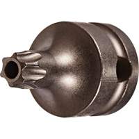 Socket Bit, Torx&reg; Tamper, 25 x 1" L, 3/8" Drive Air Extreme Inc.