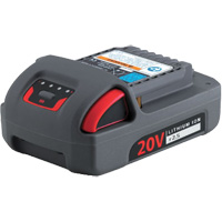 Batterie de s&eacute;rie IQV20, Lithium-ion, 20 V, 2,5 Ah Air Extreme Inc.