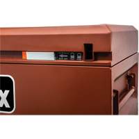 Armoire Site-Vault, 30" x 20" x 19-3/4", Acier, Orange Air Extreme Inc.