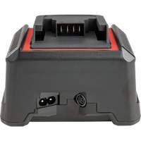2.5 Ah & 5.0 Ah Battery Charger, 120 V, Lithium-Ion Air Extreme Inc.