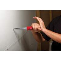 Rasping Jab Saw Air Extreme Inc.