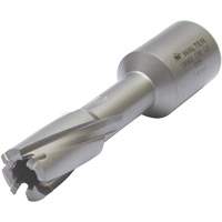 Core Cut Annular Cutter with Weldon Shank, 12 mm Diameter, Carbide, 30 mm Depth of Cut, 3/4" Shank Air Extreme Inc.