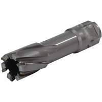 Universal Shank Annular Cutter, 1/2" Diameter, Carbide, 1" Depth of Cut, 3/4" Shank Air Extreme Inc.