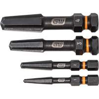 Jeu d'extracteur de vis Bolt Biter, Acier rapide, 4 Morceaux Air Extreme Inc.