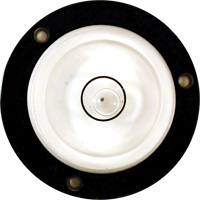Niveau Bull's-Eye Air Extreme Inc.