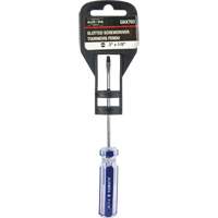 Tournevis &agrave; fente bleu transparent avec bandes , Tige de 1/8", Ronde, Prise en Plastique Air Extreme Inc.