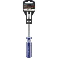 Tournevis &agrave; fente bleu transparent avec bandes, Tige de 1/4", Ronde, Prise en Plastique Air Extreme Inc.