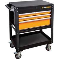 Jeu d'outils pour maître m&eacute;canicien MEGAMOD dans des plateaux en mousse modulaire de premi&egrave;re qualit&eacute; avec rangement d'outils, 1268 morcea Air Extreme Inc.