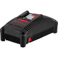 Chargeur de batterie IQV40, 40 V, Lithium-ion Air Extreme Inc.