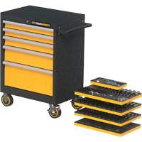 Jeu d'outils de m&eacute;canicien dans des plateaux modulaires en mousse avec conteneur de rangement, 247 morceaux Air Extreme Inc.