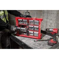 PACKOUT Tilt Bin Organizer, 15-1/5" x 19-7/10" x 6-7/10", Black/Red Air Extreme Inc.