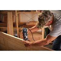 Colt Electronic Variable-Speed Palm Router Air Extreme Inc.