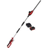 Taille-haie &agrave; perche sans fil avec batterie 4 Ah et ensemble de d&eacute;part de chargeur, 18", 18 V, &agrave; pile Air Extreme Inc.