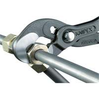 Pince Raptor, 10" Air Extreme Inc.