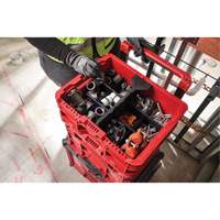 PACKOUT Low-Profile Crate, 15" x 18-5/8" x 6-5/8", Black/Red Air Extreme Inc.