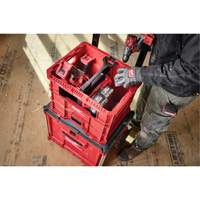PACKOUT XL Crate, 15-3/4" x 18-5/8" x 15", Black/Red Air Extreme Inc.