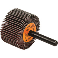 Disques &agrave; lamelles - Meules &agrave; lamelles Coolcut, Oxyde d'aluminium, Grain 60, 1-1/2" x 1" x 1/4" Air Extreme Inc.