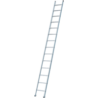 Industrial Heavy-Duty Extension/Straight Ladders, 8', Aluminum, 300 lbs., CSA Grade 1A Air Extreme Inc.