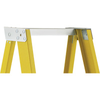 Industrial Heavy-Duty Platform Stepladders (6500 Series), 6', 300 lbs. Cap. Air Extreme Inc.