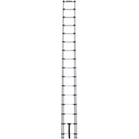 &eacute;chelle t&eacute;lescopique, 3' - 15,5', Aluminium, Capacit&eacute; de 250 lb, Type 1 Air Extreme Inc.