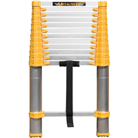 &eacute;chelle t&eacute;lescopique, 3' - 12', Aluminium, Capacit&eacute; de 250 lb, Type 1 Air Extreme Inc.