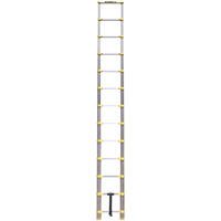 &eacute;chelle t&eacute;lescopique, 3' - 12', Aluminium, Capacit&eacute; de 250 lb, Type 1 Air Extreme Inc.