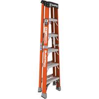 Step Ladder, 6', Fibreglass, 375 lbs. Capacity, Type 1AA Air Extreme Inc.