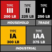 Step Ladder with Paint Tray, 10', Aluminum, 225 lbs. Capacity, Type 2 Air Extreme Inc.