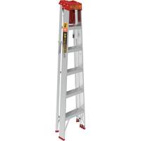 Step Ladder with Paint Tray, 6', Aluminum, 200 lbs. Capacity, Type 3 Air Extreme Inc.