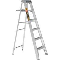 Step Ladder with Paint Tray, 6', Aluminum, 225 lbs. Capacity, Type 2 Air Extreme Inc.