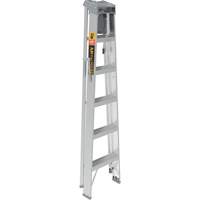Step Ladder with Paint Tray, 6', Aluminum, 225 lbs. Capacity, Type 2 Air Extreme Inc.