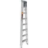 Step Ladder with Paint Tray, 8', Aluminum, 225 lbs. Capacity, Type 2 Air Extreme Inc.
