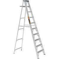 Step Ladder with Paint Tray, 10', Aluminum, 225 lbs. Capacity, Type 2 Air Extreme Inc.