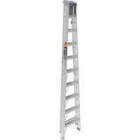 Step Ladder with Paint Tray, 10', Aluminum, 225 lbs. Capacity, Type 2 Air Extreme Inc.