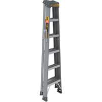 Step Ladder, 6', Fibreglass, 225 lbs. Capacity, Type 2 Air Extreme Inc.