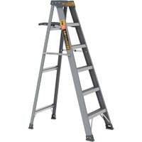 Step Ladder with Paint Tray, 6', Fibreglass, 225 lbs. Capacity, Type 2 Air Extreme Inc.