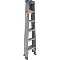 Step Ladder with Paint Tray, 6', Fibreglass, 225 lbs. Capacity, Type 2 Air Extreme Inc.