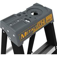 Step Ladder with Paint Tray, 10', Fibreglass, 250 lbs. Capacity, Type 1 Air Extreme Inc.