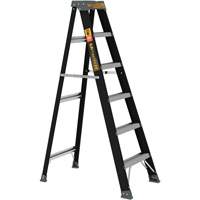 Step Ladder, 6', Fibreglass, 250 lbs. Capacity, Type 1 Air Extreme Inc.