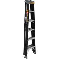 Step Ladder, 6', Fibreglass, 250 lbs. Capacity, Type 1 Air Extreme Inc.