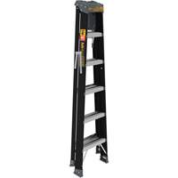 Step Ladder with Paint Tray, 6', Fibreglass, 250 lbs. Capacity, Type 1 Air Extreme Inc.