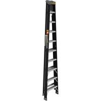 Step Ladder with Paint Tray, 10', Fibreglass, 250 lbs. Capacity, Type 1 Air Extreme Inc.
